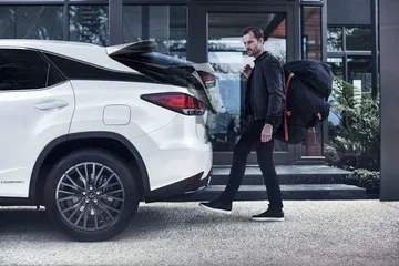 Lexus Rx 2019 Fotos 15