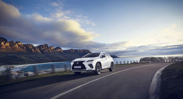 Lexus Rx 2019 Fotos 24