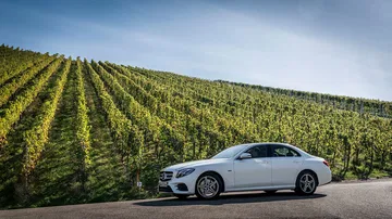 Mercedes E 300 De Diesel Enchufable 2019 16