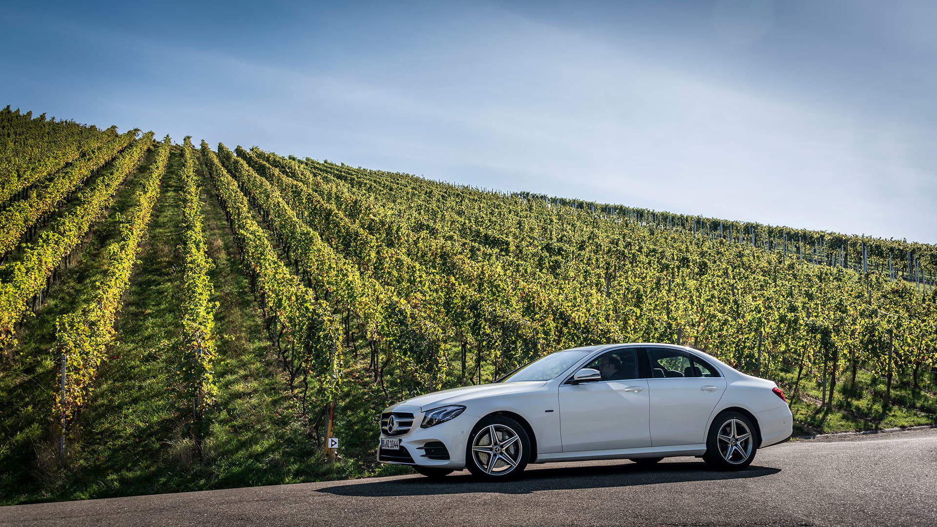 Mercedes E 300 De Diesel Enchufable 2019 16