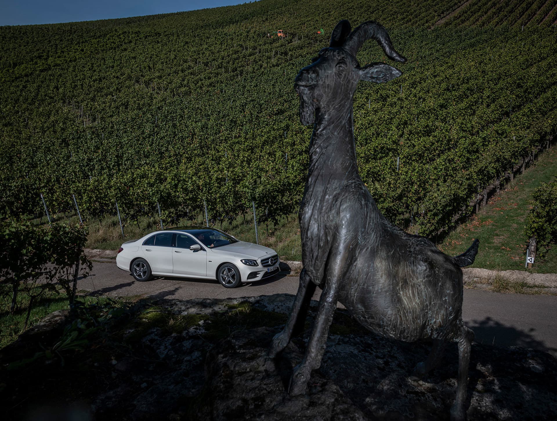 Mercedes E 300 De Diesel Enchufable 2019 17