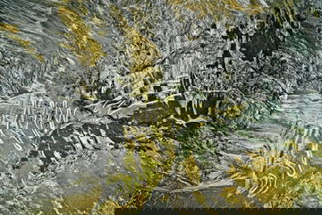 P17 1073 A3 Rgb Resized