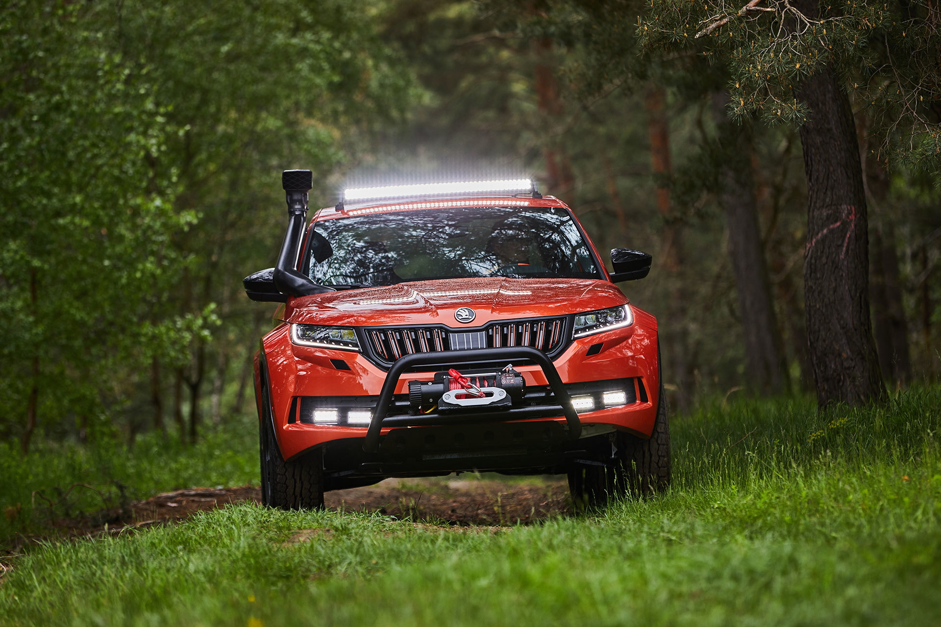 Skoda Mountiaq 2019 Todoterreno 06