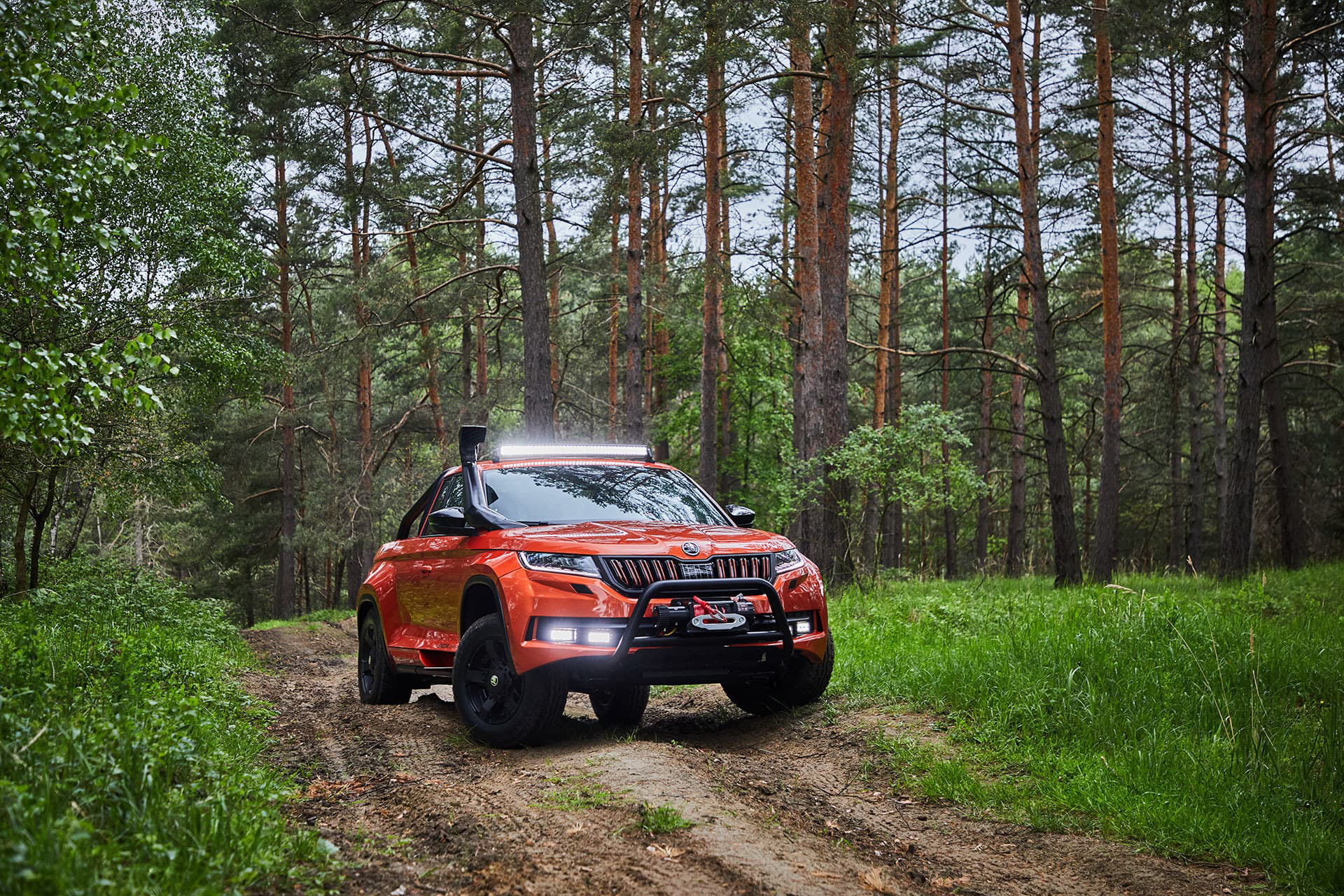 Skoda Mountiaq 2019 Todoterreno 11