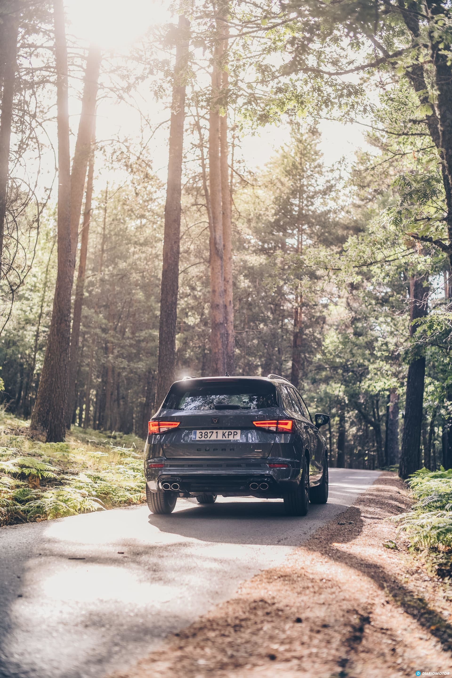 Cupra Ateca Prueba 19