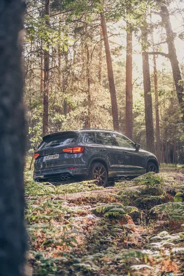 Cupra Ateca Prueba 20