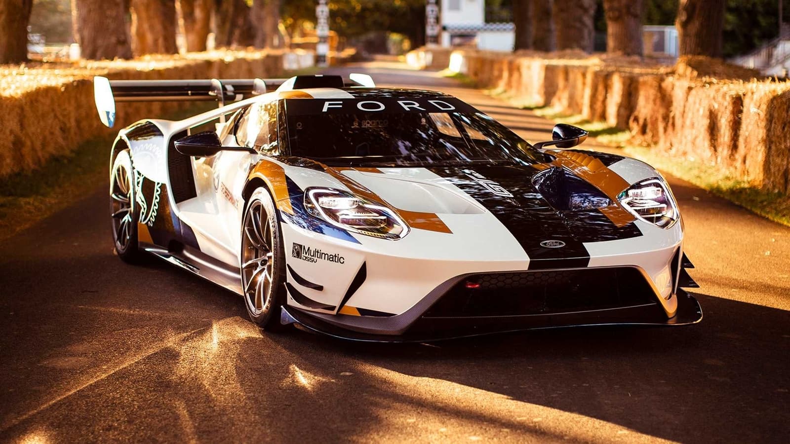 Ford Gt Mkii 2019 0619 007