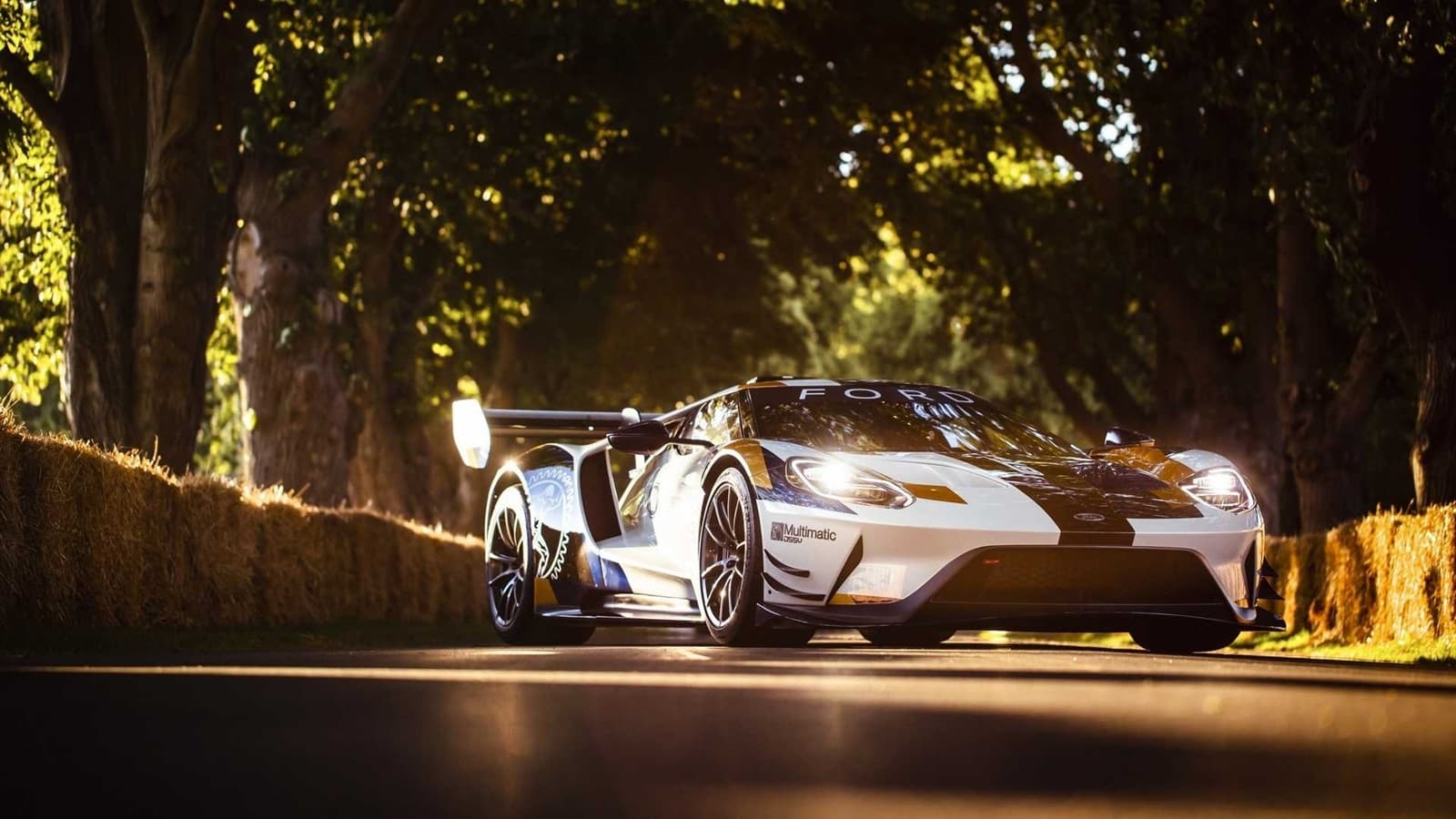 Ford Gt Mkii 2019 0619 019