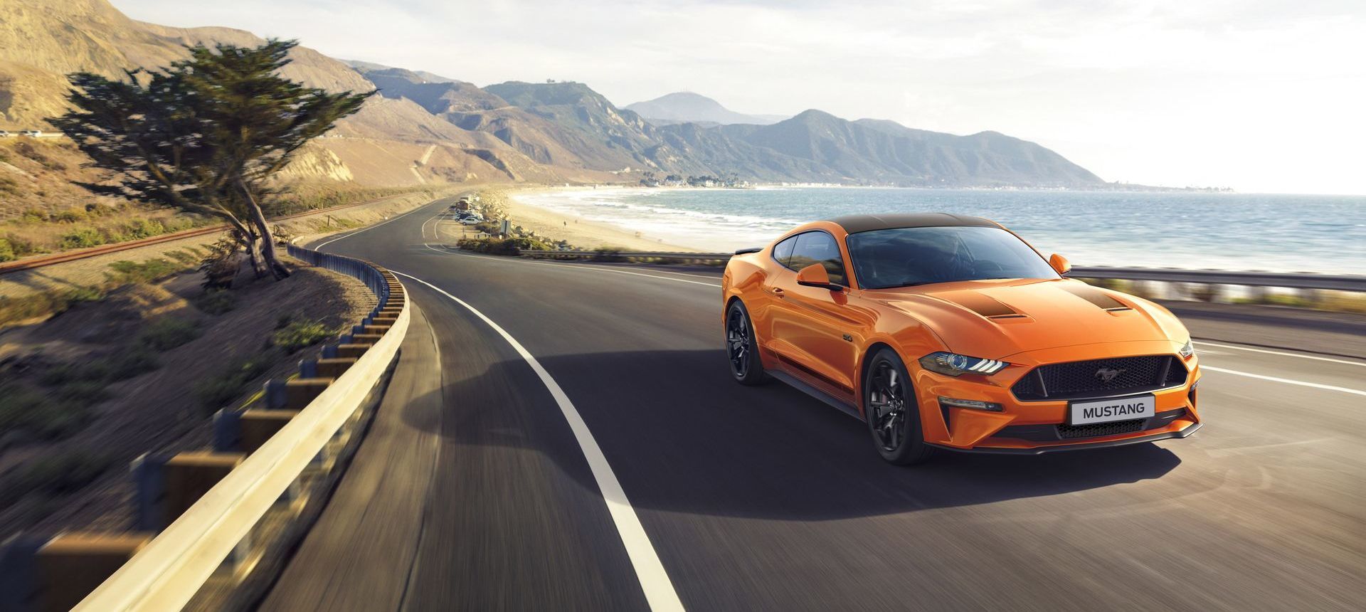Ford 2019 Mustang 55