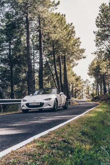 Mazda Mx 5 Nappa Prueba 22