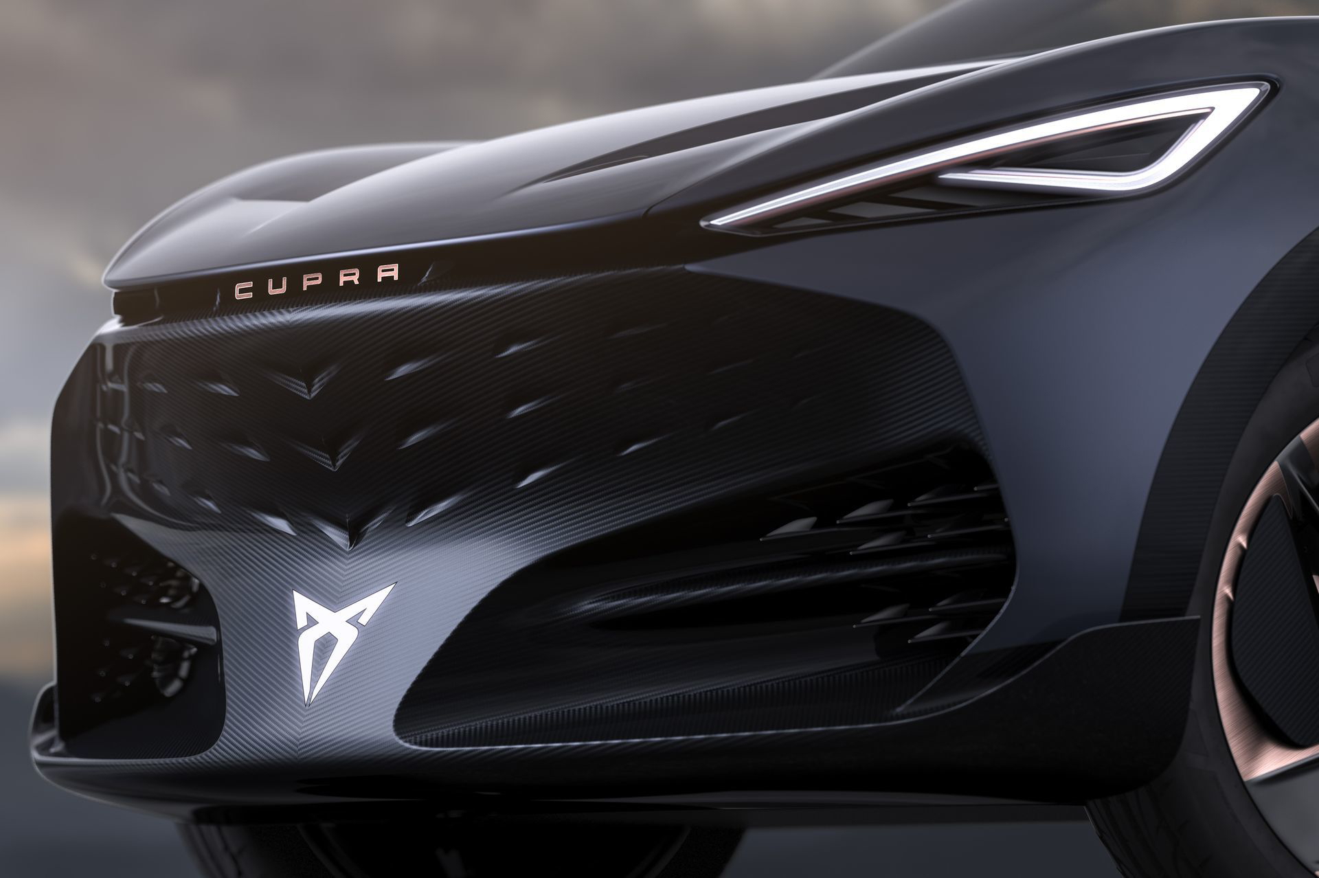 Cupra Tavascan 2020 11