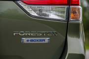 Gallería fotos de Subaru Forester