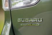 Gallería fotos de Subaru Forester
