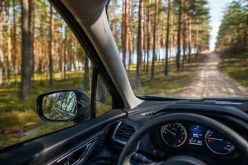 Forester E Boxer High 099