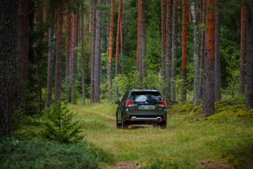 Forester E Boxer High 136 199332