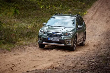 Forester E Boxer High 155 190697