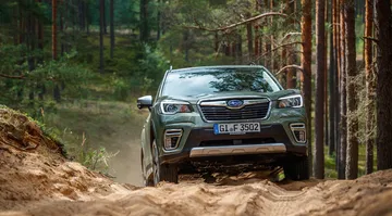 Forester E Boxer High 158 190886