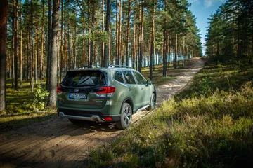 Forester E Boxer High 177