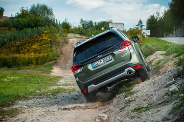 Forester E Boxer High 180 192603