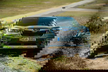 Forester E Boxer High 184