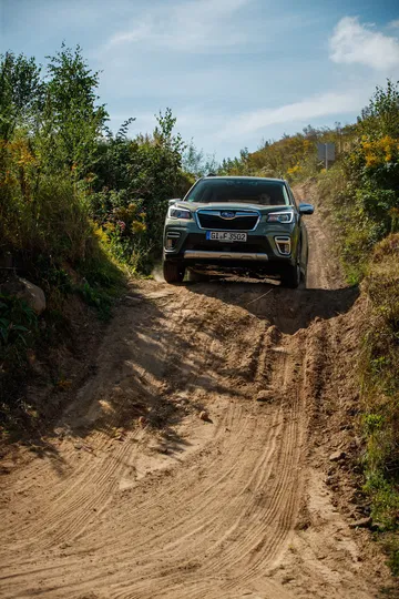 Forester E Boxer High 192 192920