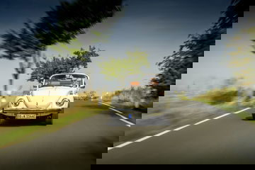 The E Beetle