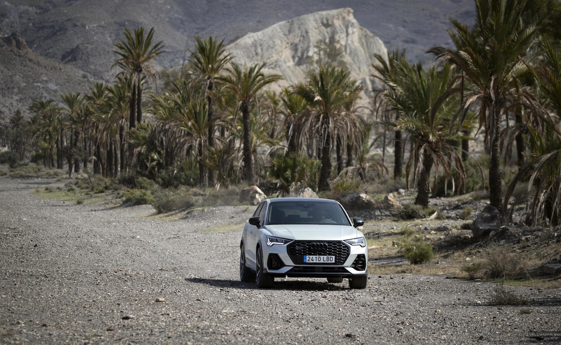 Vista dinámica del Audi Q3 Sportback en entorno natural.