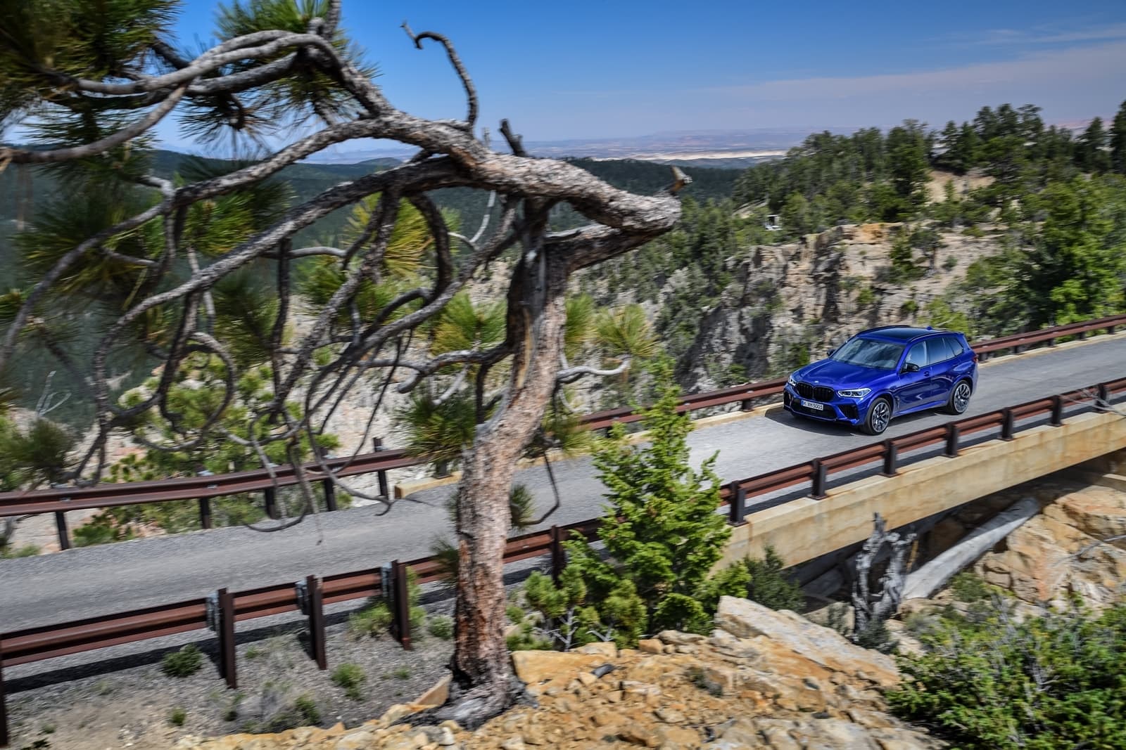 Bmw X5m