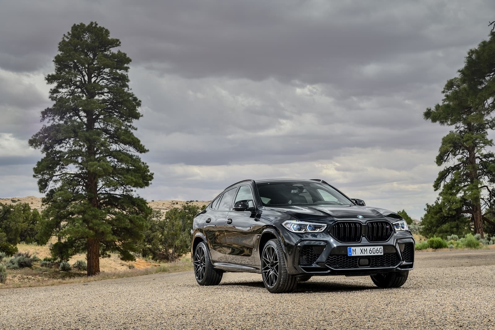 Bmw X6m
