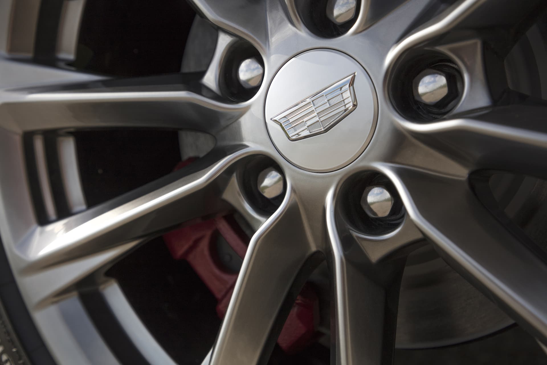 The Sport Model Is Differentiated By Darker Accents And Performa