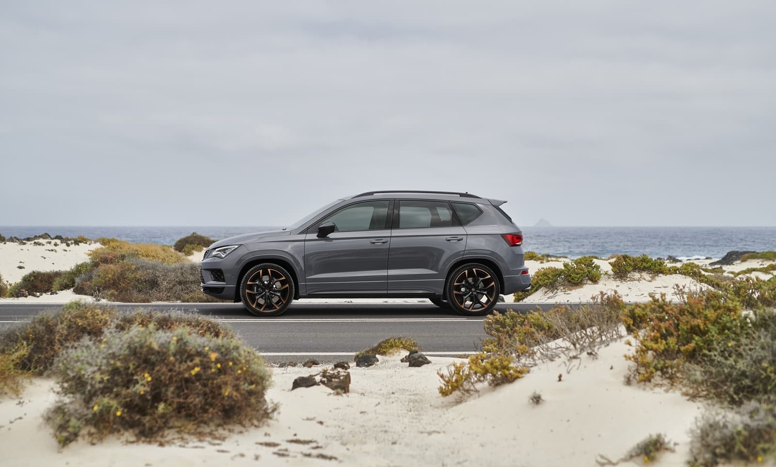 Cupra Ateca Limited Edition 1019 012