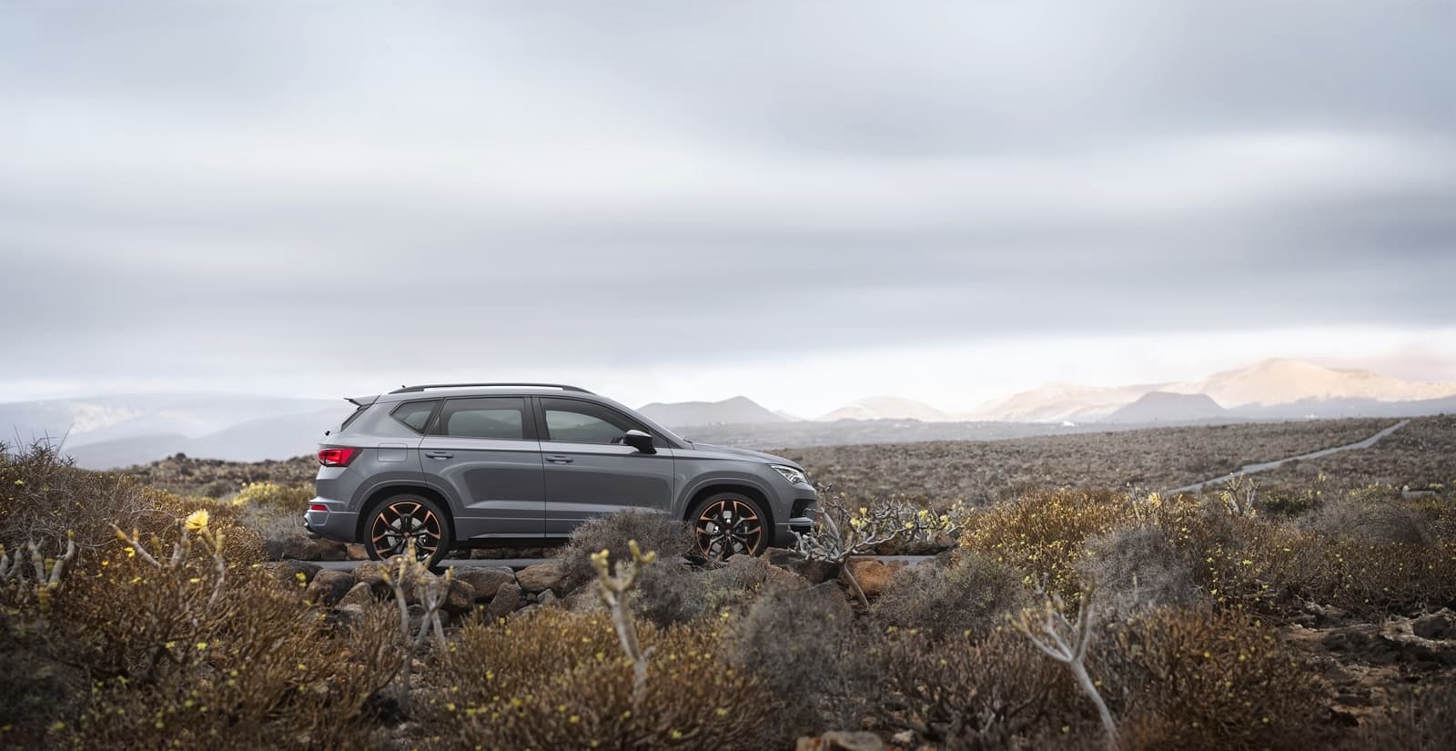 Cupra Ateca Limited Edition 1019 021