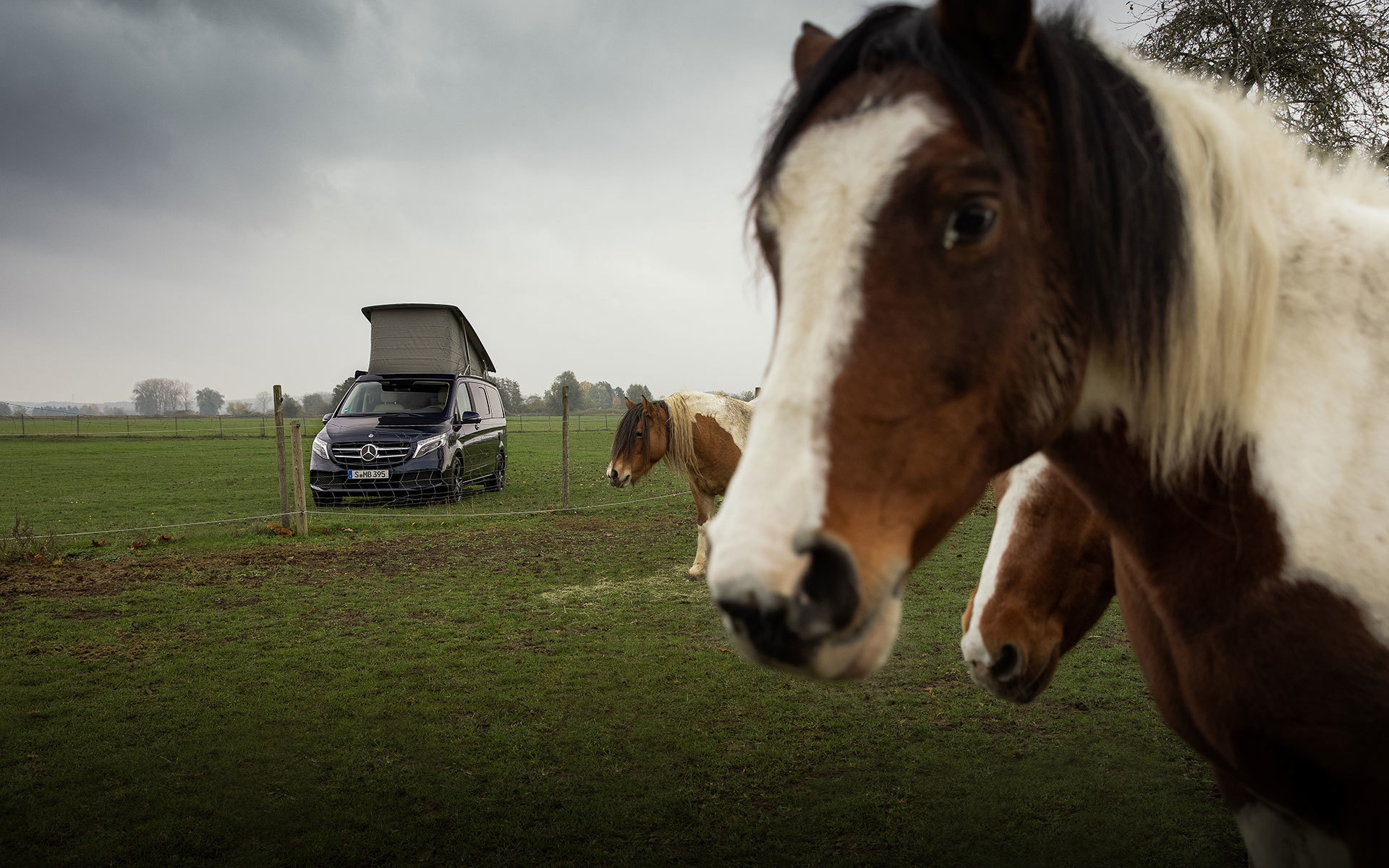 Mercedes Marco Polo 2020 36
