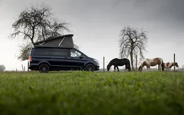 Mercedes Marco Polo 2020 37