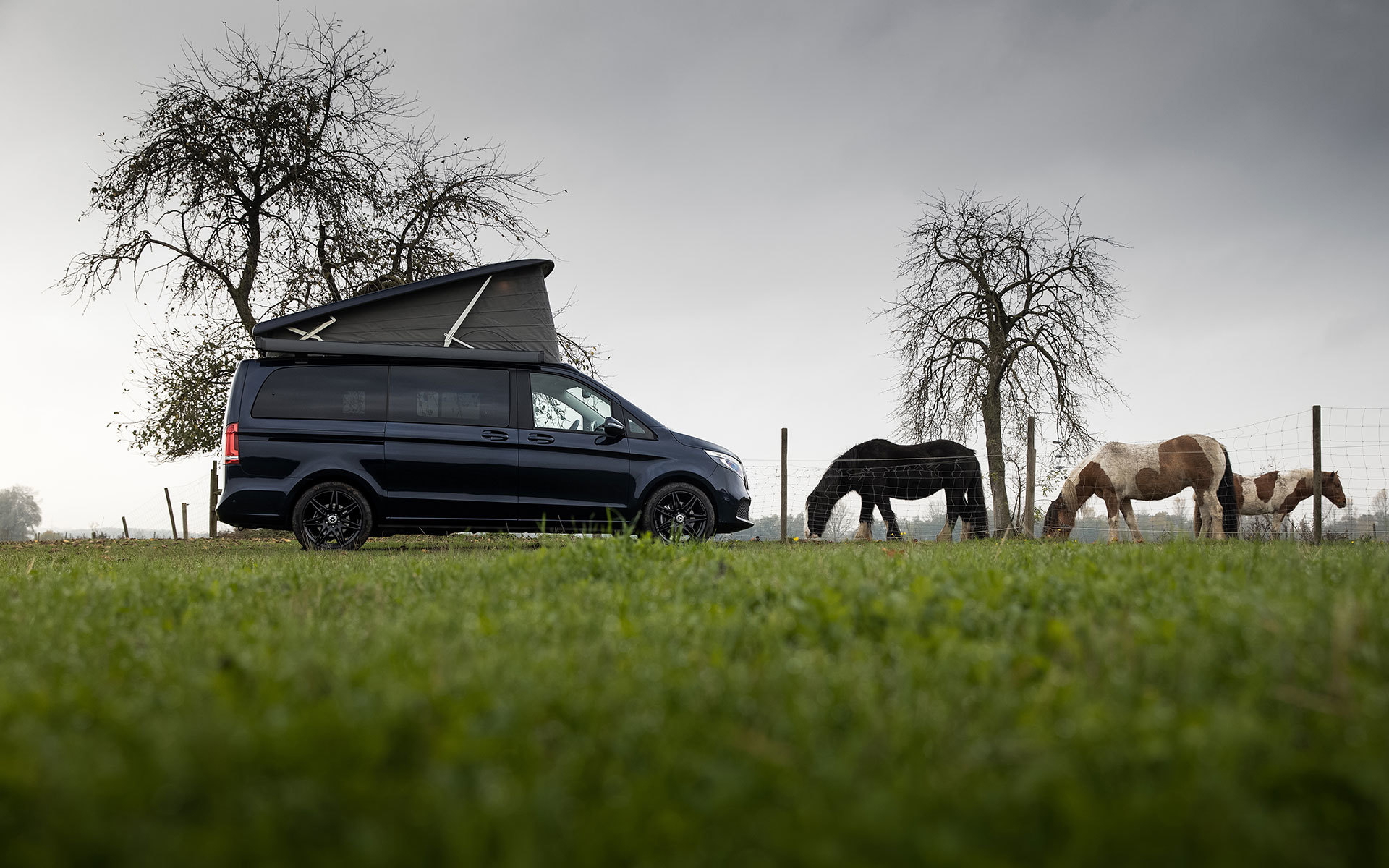 Mercedes Marco Polo 2020 37