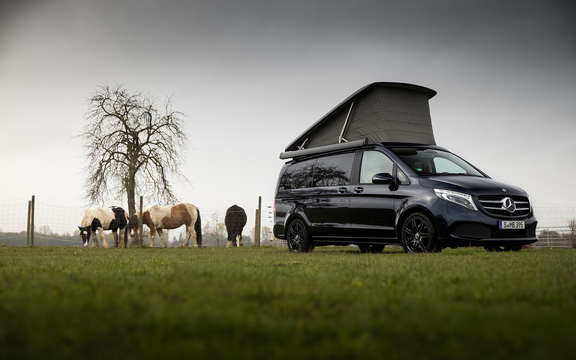 Mercedes Marco Polo 2020 38