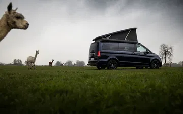 Mercedes Marco Polo 2020 39