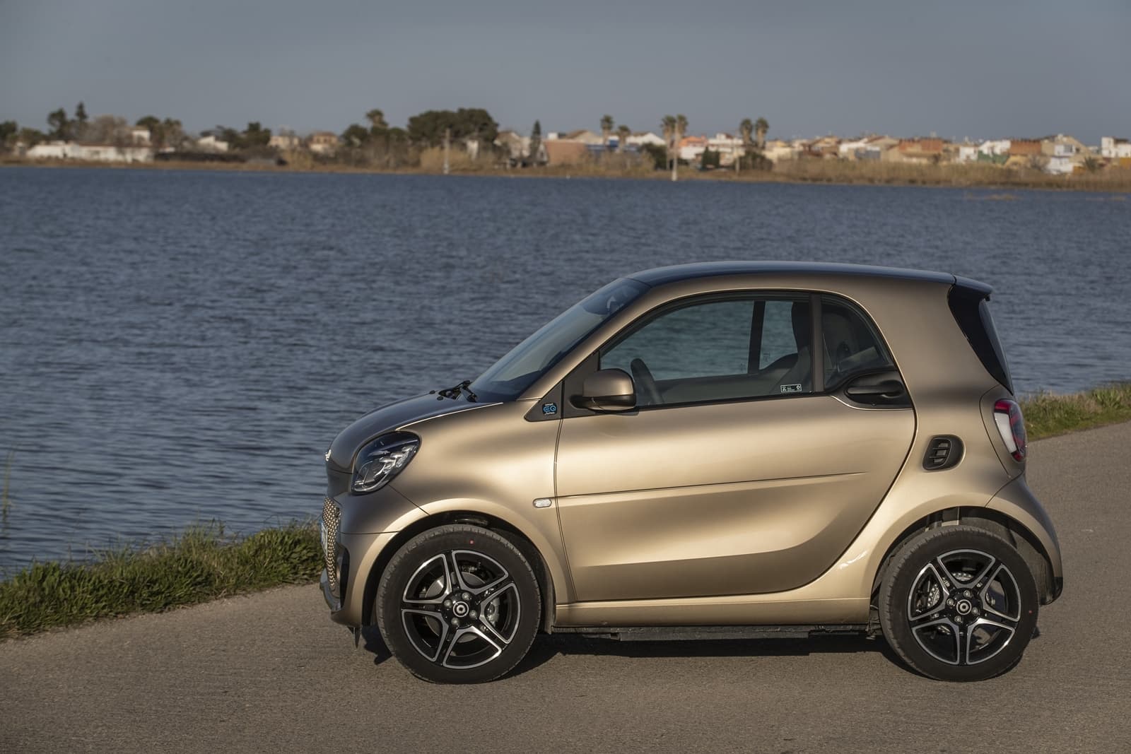 Smart Eq Fortwo 2020 0120 053