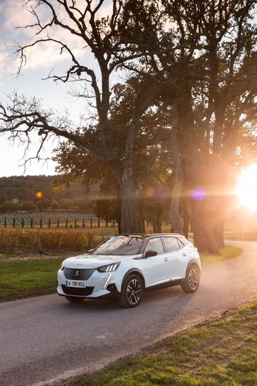 Peugeot E 2008 Prueba 44