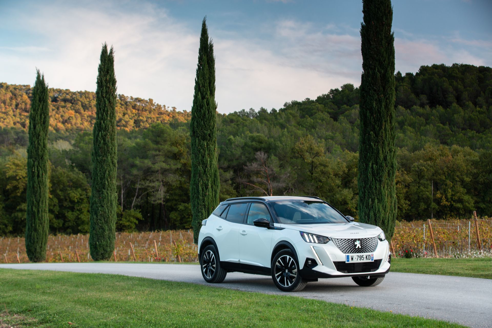 Peugeot E 2008 Prueba 53