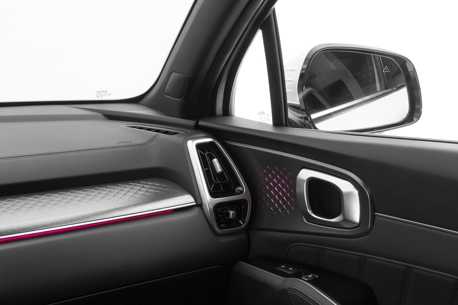 Vista del acabado y detalle del panel de la puerta del Kia Sorento.