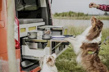 Egoe Nest Camper 8