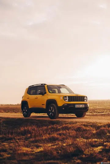 Jeep Renegade 24