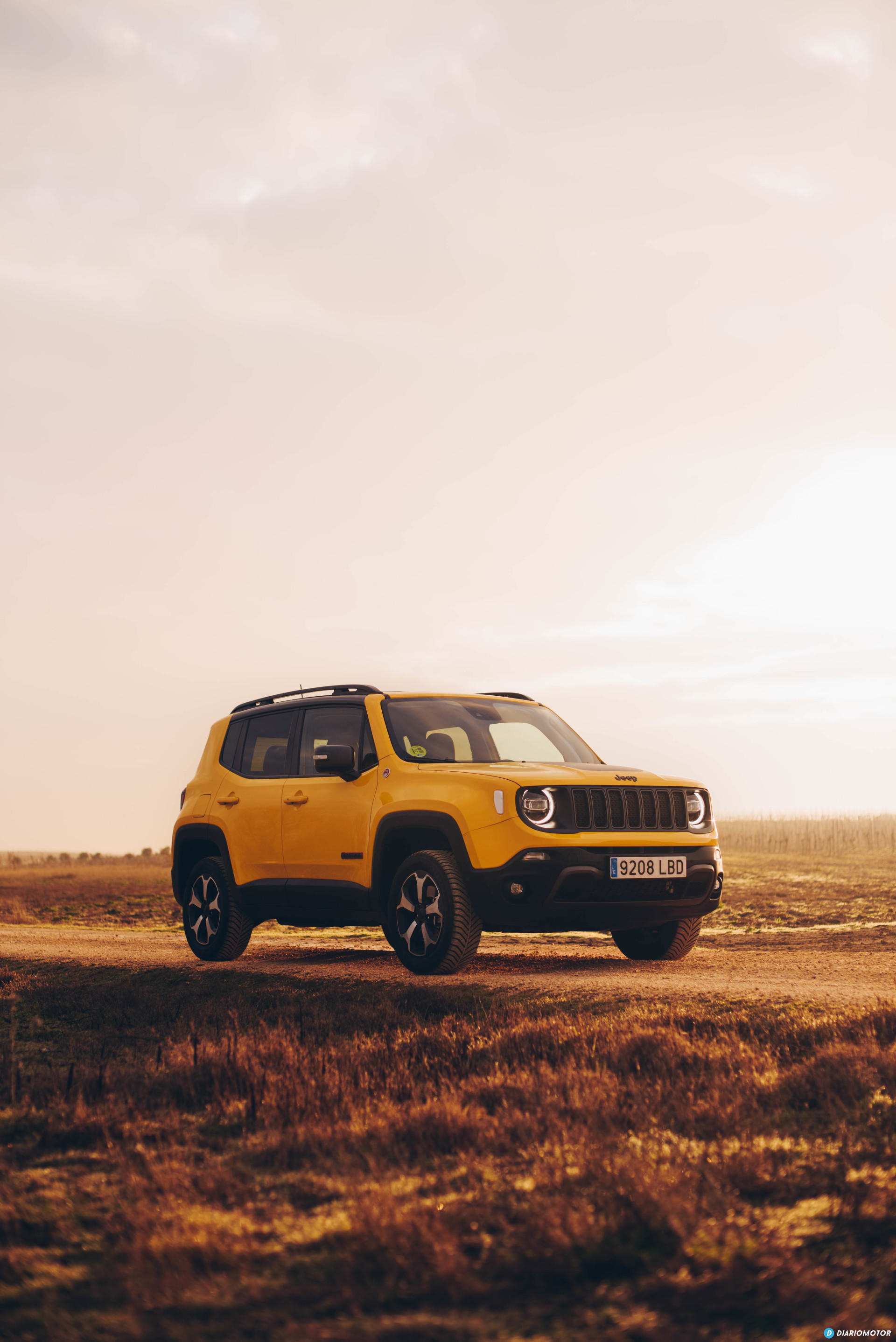 Jeep Renegade 24