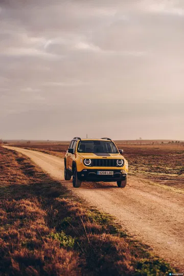Jeep Renegade 25