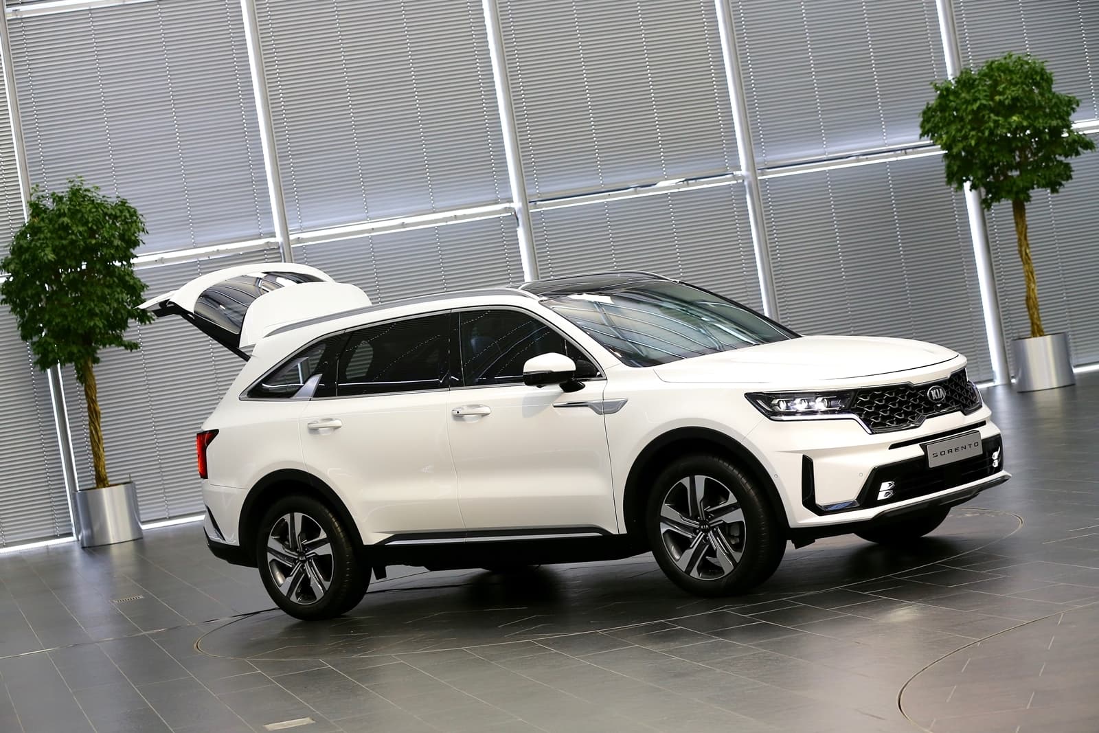 Vista lateral del Kia Sorento, destacando su línea y diseño aerodinámico.