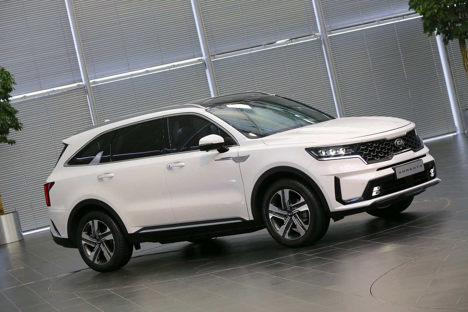 Vista lateral del Kia Sorento mostrando su diseño elegante y dinámico.