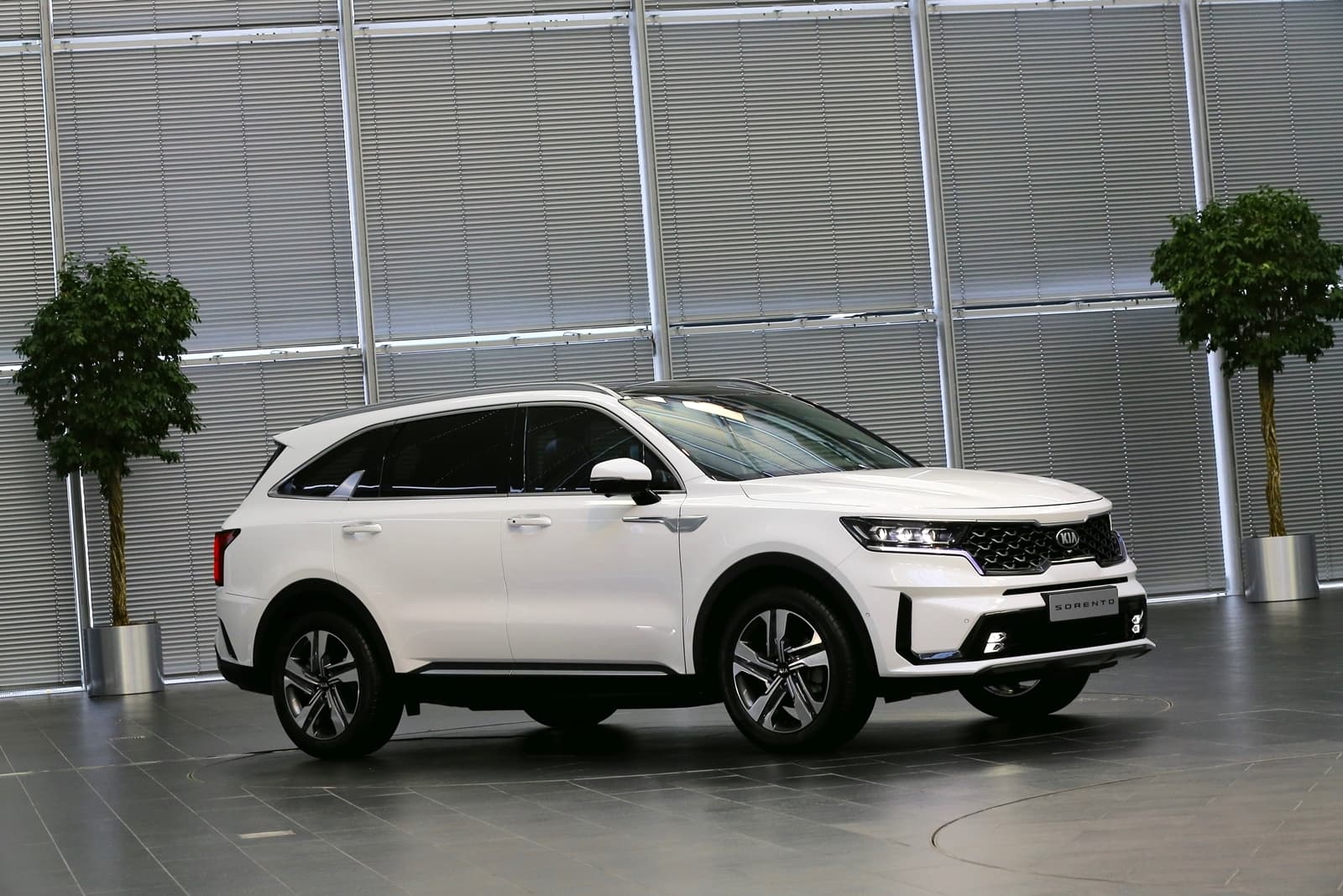 Vista lateral que muestra el diseño y elegancia del Kia Sorento.