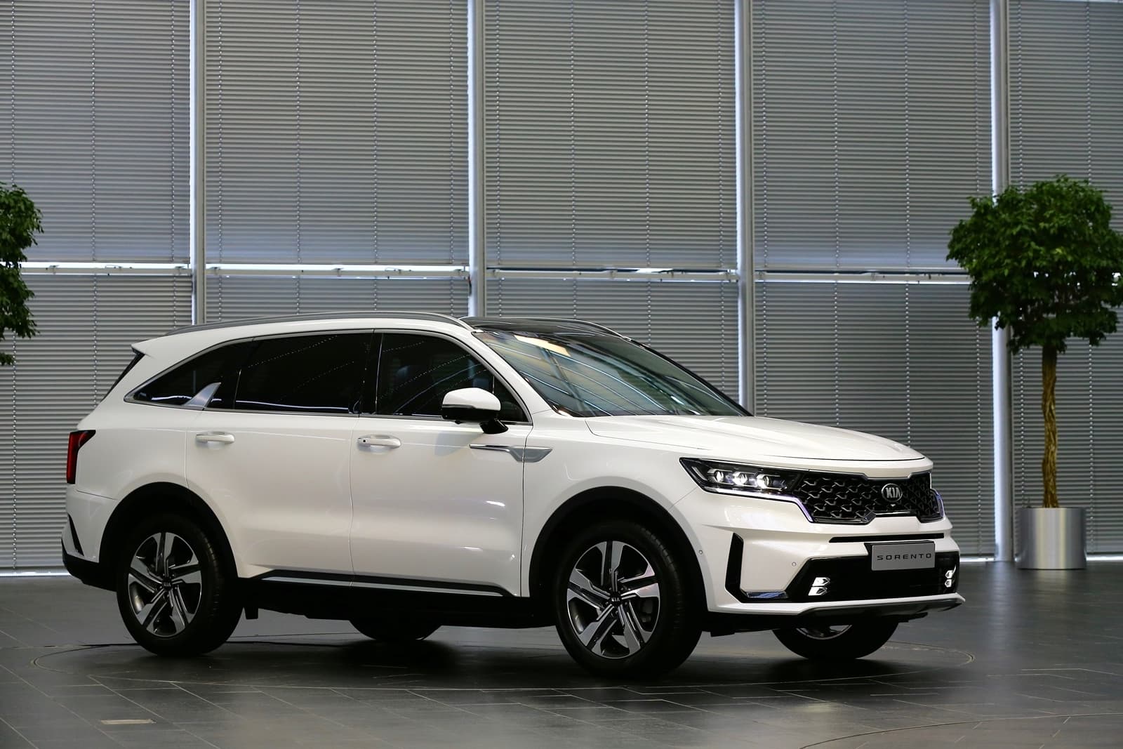Vista lateral que muestra el diseño dinámico del Kia Sorento.