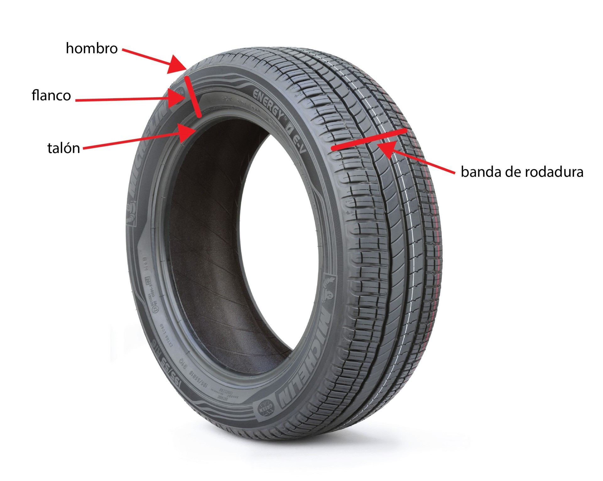 Sociable Experto Frontera Cuáles son los elementos que conforman un neumático?